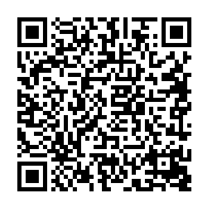 看火光映红了一张张生动的脸庞……可惜这是在杀人的战场边而不是悠闲的郊游二维码生成