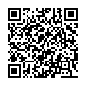 看热情的大哥的样子好像短时间内没有要走的意思啊二维码生成