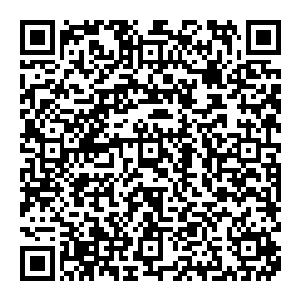 看现在的样子 并不是在开玩笑 距离他扬言打至强兵峰 已经过去了两个小时 他已经打到了七十五楼 累计胜利 两百五十场 二维码生成