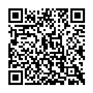 看看从那片尸体处再往前走会不会遇到什么危险二维码生成