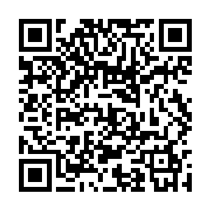 看看你们口中的老爷是不是正在莲府端盘子抹桌子二维码生成