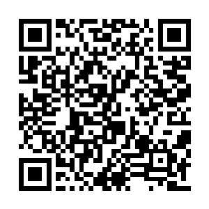 看看你们这群土包子如何有十分之一人通过考核二维码生成