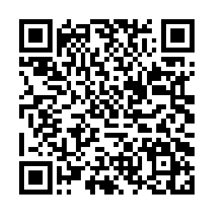 看看依然还在压制她的青龙和不断撕咬她内脏的白虎二维码生成