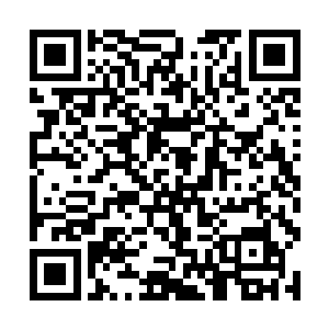 看看刚才放在盘子里的最后三个包子现在变成了两个二维码生成