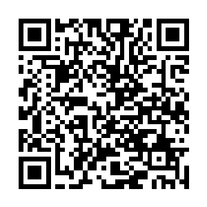 看看天道发现了什么事情竟然露出那样惊秫的表情二维码生成