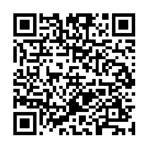 看看她有没有盖好了被子……看看她是不是睡得好二维码生成