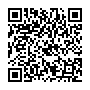 看看我们能不能有十分之一的人通过考核成为正式弟子二维码生成