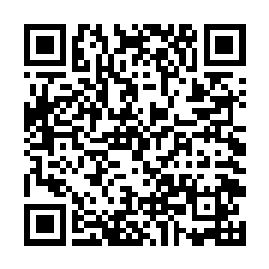 看看能不能将家族中的一些年轻的精英偷偷地藏起来二维码生成