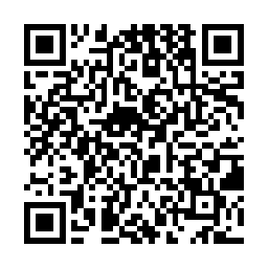 看看自己究竟是否真的站在苍茫大陆上炼丹界的顶端二维码生成