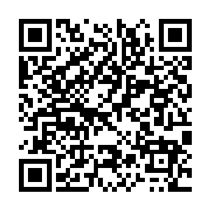 看看还有没有隐藏的活口或者能不能找到蛛丝马迹二维码生成