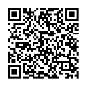 看看这些星空异兽究竟有什么反应――绝大多数时候二维码生成