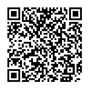 看看那个神秘之地能否找到一些不同寻常的东西来挽回自己无多的寿命二维码生成