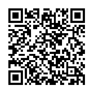 看看那些卫队战士身上那些强大的精良的装备和武器二维码生成