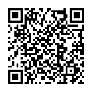 看看那刑罚长老像是不要命一般地从飓风之中冲出二维码生成
