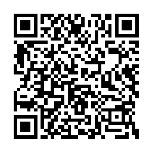 看着一下子出现在自己头顶视野之中的蓝天白云二维码生成