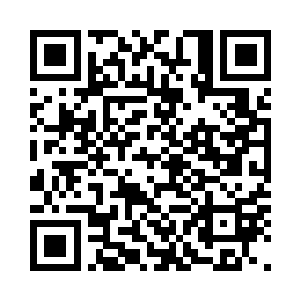 看着一个一个的官家小姐们或是弹唱二维码生成