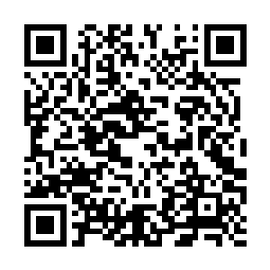 看着一个个重新站到自己面前的三十多个卫队成员二维码生成