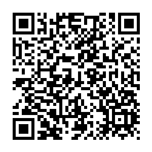 看着一个又一个在迷族之中身份尊贵之人前来给四个宝贝送上贺礼二维码生成
