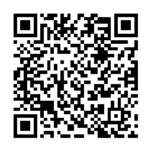 看着三名花重金雇来的强力队友几乎在眨眼间就被秒杀二维码生成