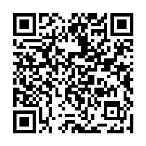 看着上空的小老头开始在释羽薰与白夙头顶左右盘旋二维码生成
