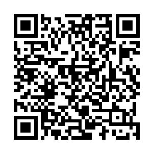 看着上面父亲顾长泽的那张连他自己都觉得肮脏不堪的脸二维码生成