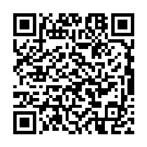 看着东方青妍闻言之后瞬间红若朝霞一般的妩媚娇颜二维码生成