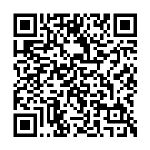看着两个孩子认真地对着自己解释着两人的名字二维码生成