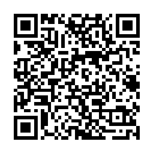 看着两个瓷娃娃般的玄光小人儿在自己掌心活蹦乱跳二维码生成