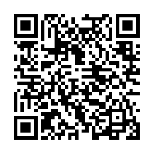 看着两枚操控着他们性命的戒指飞落夏云杰的手中二维码生成