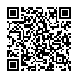 看着为非作歹的恶霸豹哥在自己面前唯唯诺诺的二维码生成