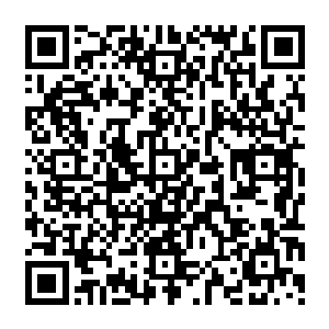 看着从旁边传来一声声惨绝人寰的惨叫声金在珉感觉眼前这个少女比恐怖分子还恐怖啊二维码生成