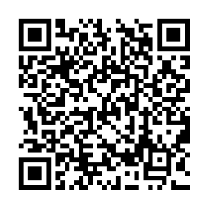 看着他们把那群猎人拖着跑了整整两天到了安全区二维码生成