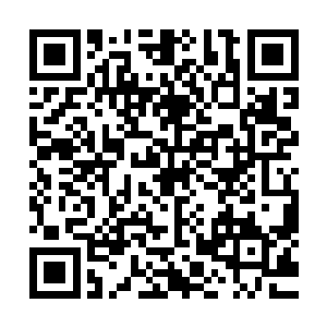 看着仿佛另一个自己的罗生花和流墨墨说话的那些反应和表情二维码生成