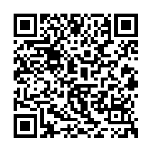 看着前面的曾小美和凶神恶煞般的瞪着他的警察二维码生成