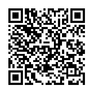 看着卡奴基斯的一拳没有对自己的死士造成太大的伤害二维码生成