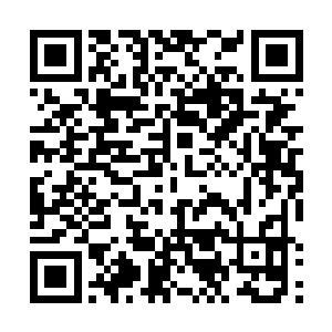 看着原本因为大水母离开水潭后水位下降了很多的水潭二维码生成