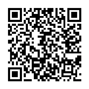 看着原本趴在门上的人失去支撑一个接一个地仆倒在地上二维码生成