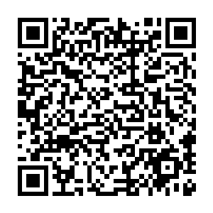 看着右手前方约三尺外焦黑地面上一个洞穴里爬出来的惊魂未定的蚂蚁二维码生成