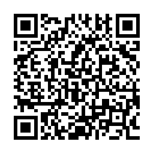 看着周围那红着眼睛看着自己的将近三十头狼――六头一级巨狼二维码生成
