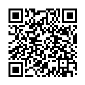 看着和林安一起坐对面沙发座里的甜甜二维码生成