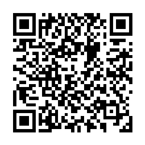 看着哈利帮查尔斯重新调整领结――作为上东区出身的小孩二维码生成