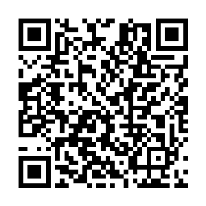 看着嘉靖帝这样子似乎是要在这一天将这个问题解决掉二维码生成