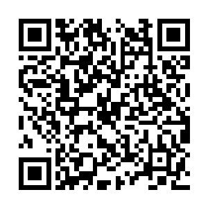 看着因为带头排水弄的满身泥水朝自己傻笑的赵旉二维码生成