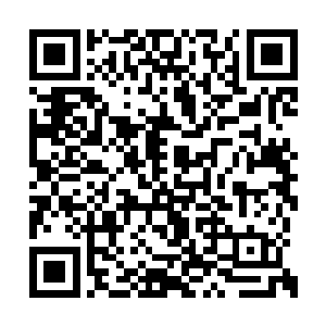 看着地下城中央正在发生的一个令人震撼的仪式二维码生成