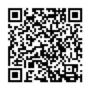 看着城墙下方千米之外数十万全副武装的精锐大军二维码生成