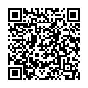 看着墨小宝一个人又是点头又是摇头还一脸深思的模样二维码生成