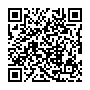 看着墨府府主和墨府老祖神色间露出的激动与兴奋二维码生成