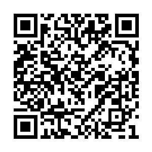 看着墨景黎冷漠的连眼波都没有丝毫变化的模样二维码生成