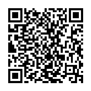 看着夏云杰一脚踩在向来高高在上的西海龙宫十王子的脖子上二维码生成