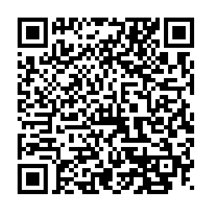 看着夏云杰用手拍着连颂他将军都要毕恭毕敬叫声老师的老人的肩膀二维码生成